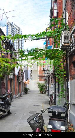 Einblick in einen Wohnweg in Shanghai, China. Die niedrigen Wohnbauten werden Shikumen genannt. Wäscherei hängt in den Gassen, Roller stehen und Stockfoto