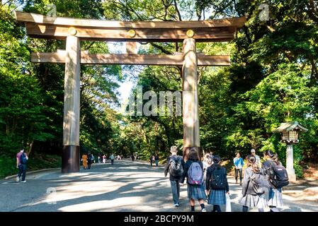 Tokio, Japan: 23. Oktober 2019: Meiji Jingu-Schrein in Shibuya Stockfoto