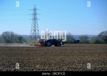 Traktor, der eine Eselung durch ein gepflüpftes Feld zieht, das für das Aussaaten von Getreide bereit ist, Kent, Großbritannien Stockfoto