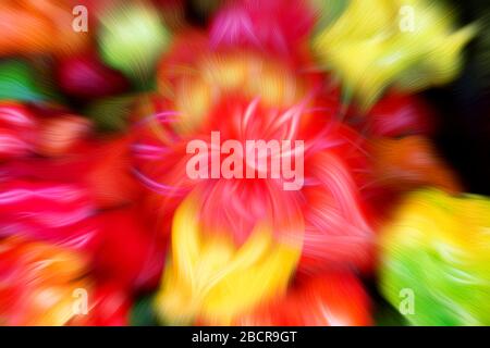 Abstrakter Hintergrund von Motorhauben-Paprika in verschiedenen Farben Stockfoto