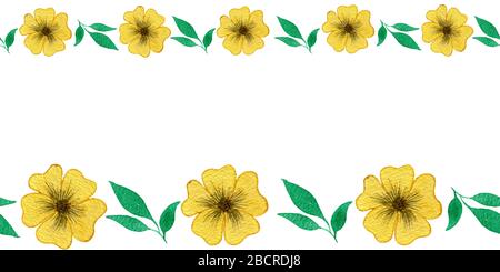 Frühlings-Gelb Blumen nahtloser Rand, Satz gelber Blumen isoliert auf weißem Hintergrund, Aquarellrahmen mit Blumenmuster und Textrahmen Stockfoto