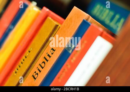 Bibel im Regal des Buches für die Religionspädabildung Stockfoto