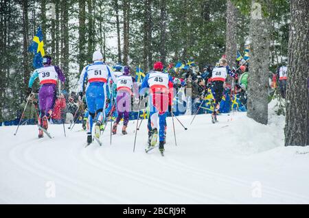 Nordic Ski Race, Profi-Cross-Country-Wettbewerb. Fans im Stadion. Foto für Winterspiel, Stockfoto