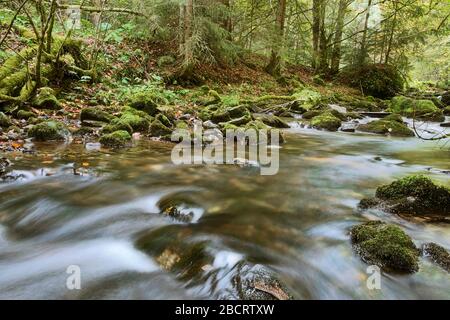 Schöner Gebirgsfluss in der Herbstsaison, Rachitele, Apuseni-Gebirge, Rumänien Stockfoto