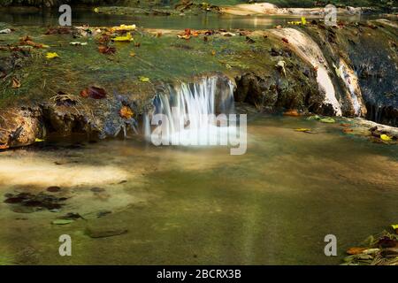 Details zum Gebirgsfluss im Herbst, Nationalpark Cheile Nerei Beusnita, Rumänien Stockfoto