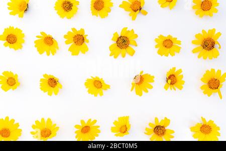 Muttertag im Frühling Stockfoto