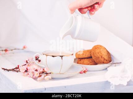Weiße Porzellanbecher mit Tee, Milchkanne und frisch gebackenen Haferplätzchen. Englisches Frühstück Stillleben mit Getränken und Leckereien und weißer Tischdecke. Stockfoto