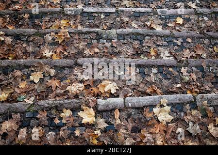 Der Herbst verlässt die Hintergrundoberfläche mit Steinen, die im Herbst tief unter den Füßen liegen Stockfoto