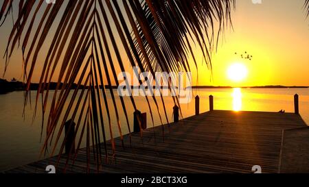 Tolle Bucht auf den US Keys bei Sonnenuntergang - ISLAMORADA, USA - 12. APRIL 2016 Stockfoto