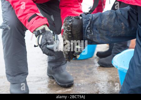 Boot Reinigung für Bio-Sicherheit beim Verlassen des Ufers in Paradise Harbor antarktis Stockfoto