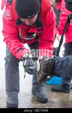 Boot Reinigung für Bio-Sicherheit beim Verlassen des Ufers in Paradise Harbor antarktis Stockfoto