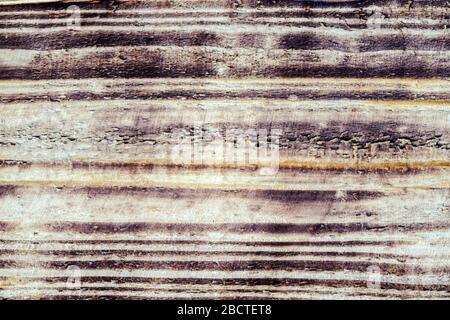 Vintage Textur eines alten Sägebautes Baum. Gebrannter Baum in einem Schnitt. Holz Hintergrund Textur Stockfoto