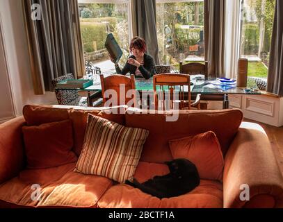 Harrogate, North Yorkshire, Großbritannien, 5. April 2020. Leben ungesperrt. Eine Frau macht mit der "Hilfe" ihrer Katze eine Stichsäge. Credit: Ernesto Rogata/Alamy Live News. Stockfoto