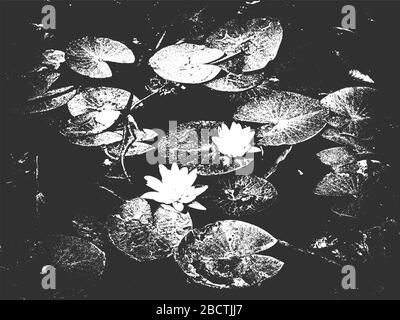 Vector lotusblüten im Fluss, schwarz-weißer Hintergrund. Stock Vektor