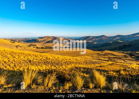 Ländliche Landschaft auf der Halbinsel Copaba auf einer Höhe von rund 4.000 m, Departement La Paz, Bolivien, Lateinamerika Stockfoto