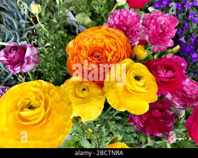 Verschiedene Blumensträuße von Ranunculus an einem Marktstand Stockfoto