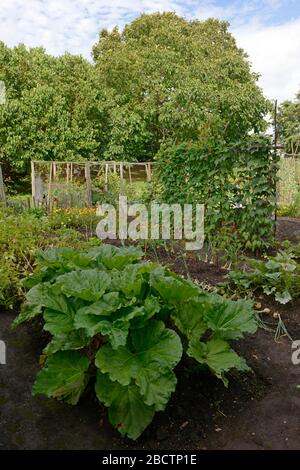 Blick auf den Gemüsegarten im Monk's House, einst das Zuhause von Virginia Woolf, Rodmell East Sussex, Großbritannien Stockfoto