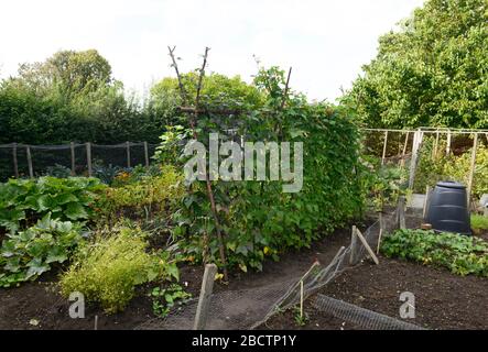 Blick auf den Gemüsegarten im Monk's House, einst das Zuhause von Virginia Woolf, Rodmell East Sussex, Großbritannien Stockfoto