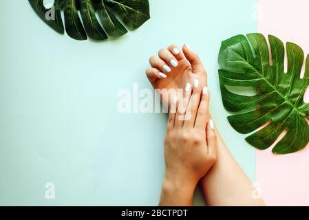 Pastellmaniküre auf blauem und rosafarbenem Hintergrund mit Palmblättern. Tropischer Hintergrund mit den Händen der Frau. Stockfoto
