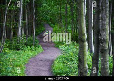 Wandern in grüner Natur. Turistinnen gehen auf dem natürlichen Flecken Stockfoto