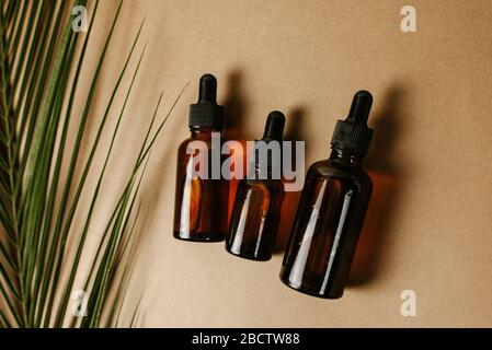 Mehrere Glasgefäße mit Pipetten mit feuchtigkeitsspendenden Serum auf braunem Grund mit einem Palmblatt. Das Konzept tropischer Extrakte in der Kosmetik. Stockfoto