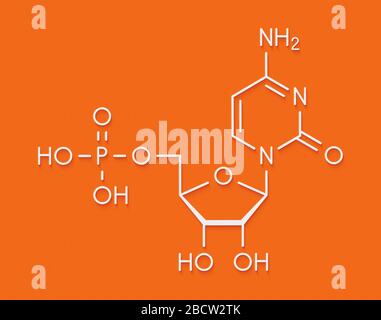 Cytidin Monophosphat (CMP, cytidyllate) RNA-Baustein Molekül. Skelettmuskulatur Formel. Stockfoto