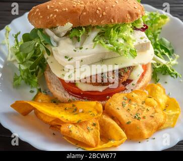 Vegetarischer Hamburger auf einem Teller in der Nähe mit Sojaschutt. Stockfoto