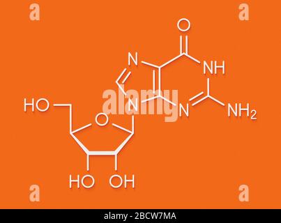 Guanosin Purin-nukleosid-Molekül. Wichtiger Bestandteil des GTP, BIP, cGMP, GMP und RNA. Skelettmuskulatur Formel. Stockfoto