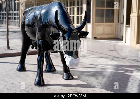 Ein Bulle oder eine Kuh schwarz geschützt vor dem Virus in einer Maske, sauberes Fleisch für Ihren Tisch, Anortung von natürlichen Produkten während der Pondemics. Stockfoto