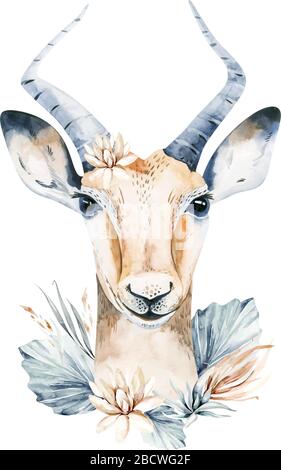 Süße antilope Aquarell Porträt Savanne Illustration. Afrikanische Tierwelt AnimalSavannah Wildtier Stock Vektor