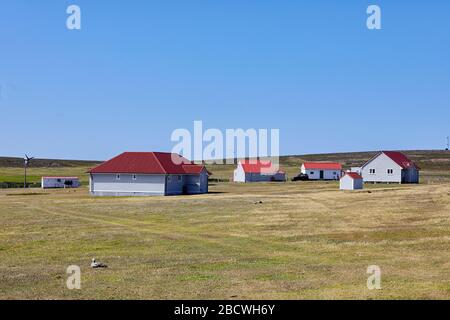 Siedlung Bleaker Island, Falklandinseln, Falkland Stockfoto