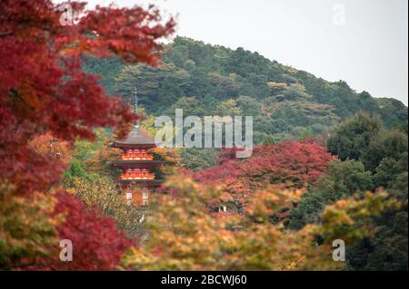 Dreistöckige Pagode, umgeben von den roten Herbstblättern im Kiyomizu-dera-Tempel, Kyoto, Japan Stockfoto