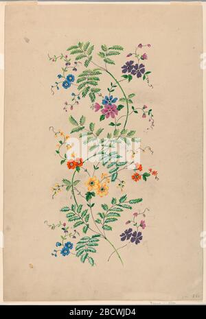 Design für ein vertikales Rinceau für ein gewebtes Material. Es werden Forschungen in ProgressSomehand gezeigt, die mehr als zwei Wellen eines unbeständigen s mit Boughs mit verschiedenen Arten von Blumen und Blättern zeigen. Noch nicht ganz fertig. Design für ein vertikales Rinceau für ein gewebtes Material Stockfoto