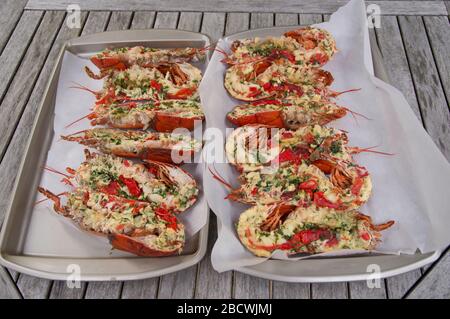 Zwei Schalen gekochter Hummer auf dem Grill, in zwei Hälften geschnitten und mit Knoblauchbutter gefüllt Stockfoto