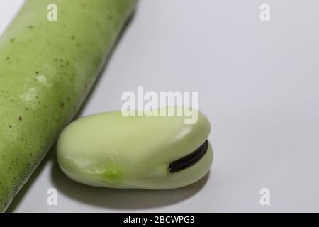 Frische, breite Bohnen - Vicia faba isoliert auf weißem Hintergrund, nah oben Stockfoto