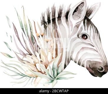 Niedliche Zebra Aquarell Portrait Illustration. Afrikanische Tiere exotische Natur. Savannah Wildtier. Stock Vektor