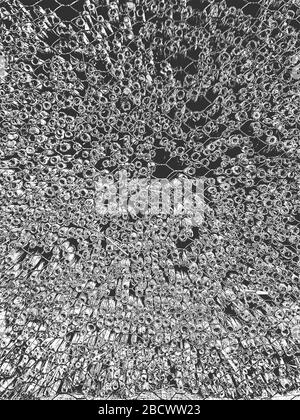 Alte trockene Holzstruktur in Bedrängnis bringen. Schwarz-weißer Grunge Hintergrund. Vektorgrafiken. Stock Vektor