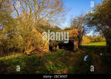 Verlassene Farm Building, Warwickshire, Großbritannien Stockfoto