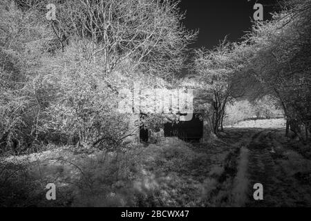 Verlassene Betriebsgebäude, Aufnahme in nahes Infrarot (720 nm) Stockfoto