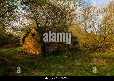 Verlassene Farm Building, Warwickshire, Großbritannien Stockfoto