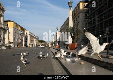 Roma, Italien. April 2020. Ein Blick auf einige Möwen in einer leeren Via della Conciliazione in Rom am Ende der vierten Woche der nationalen Sperre gegen das Rad des neuen Coronavirus, das COVID-19 genannt wird. (Foto von Giuseppe 'Pino' Fama/Pacific Press) Credit: Pacific Press Agency/Alamy Live News Stockfoto