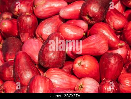 La Garita, Costa Rica. Malaiische Äpfel (Syzygium malaccense) auf einem Bauernmarkt gefunden. Stockfoto