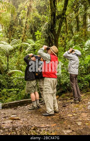 Menschen beobachten im Monteverde-Nationalpark, Costa Rica Stockfoto