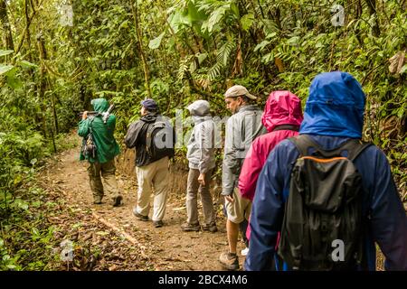 Monteverde Sky Walk im Monteverde National Park, Costa Rica. Touristen, die im Regen in einem Regenwald wandern. Stockfoto