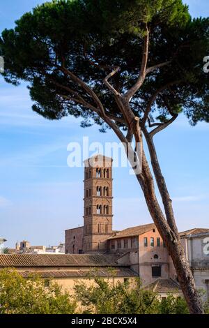 Kirchturm der Kirche "Basilica di Santa Francesca Romana" (Santa Maria Nova), Forum Romanum, Rom, Italien. Stockfoto