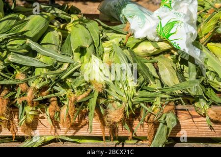 Stapel von Zuckermais zum Verkauf auf einem Bauernmarkt in Issaquah, Washington, USA Stockfoto