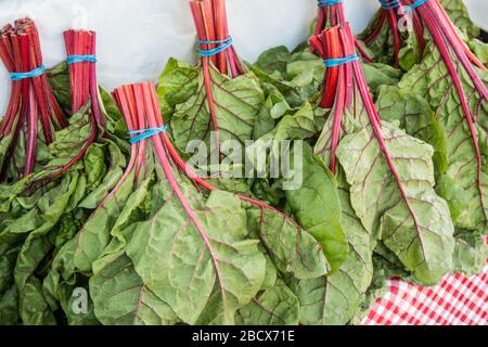 Bundles von Swiss Chard zum Verkauf auf einem Bauernmarkt in Issaquah, Washington, USA Stockfoto