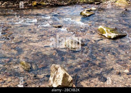 Felsen in einem natürlichen Bach an einem sonnigen Tag in Deerfield Township, Warren County, Pennsylvania, USA Stockfoto