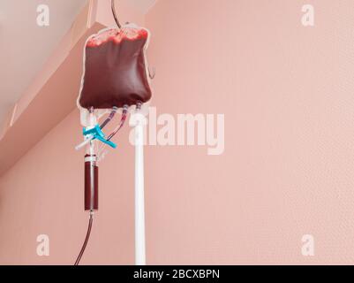 Bluttransfusion. Blutbeutel auf einem Gestell. Foto- und Kopierbereich. Stockfoto