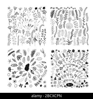 Satz handgezogene Doodle Blumen, Blätter und Zweige. Isoliert auf weißem Hintergrund. Vektorgrafiken. Stock Vektor